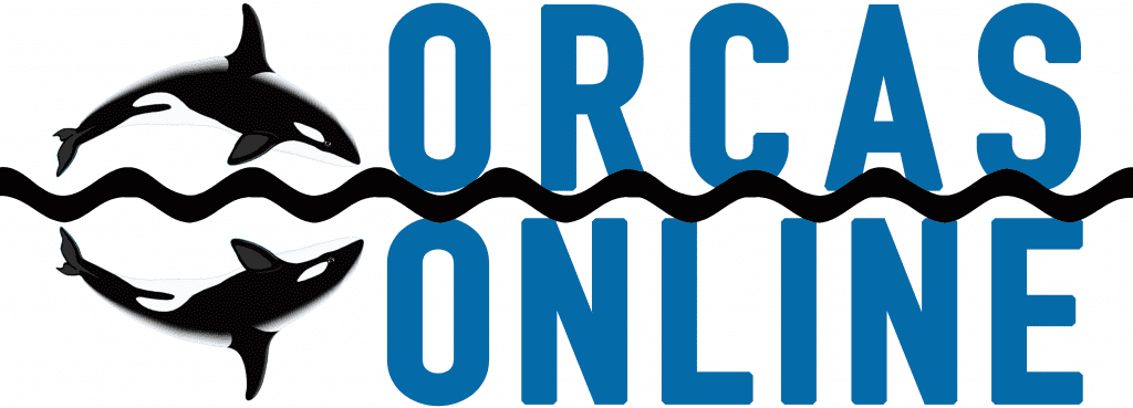 Orcas Online company logo banner.
