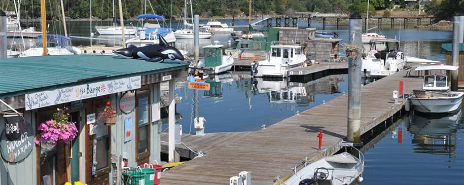 Harbor Store and dock with moored boats at Deer Harbor.